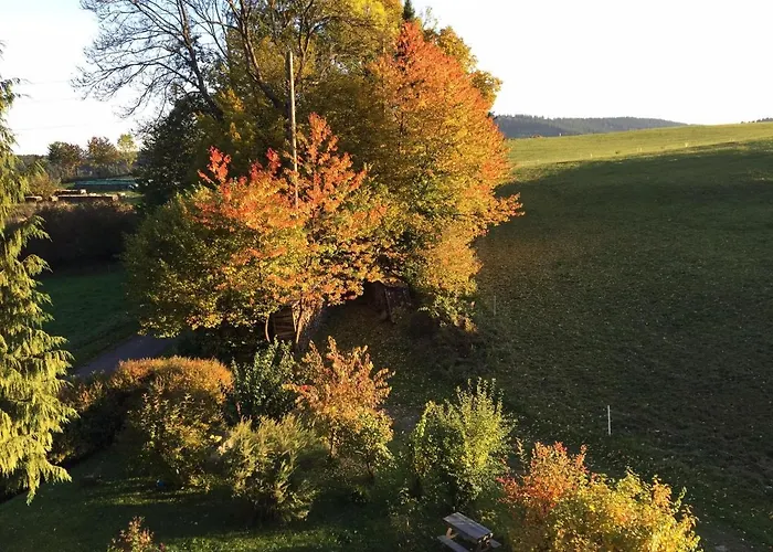 Im Hambach * 巴特贝勒堡