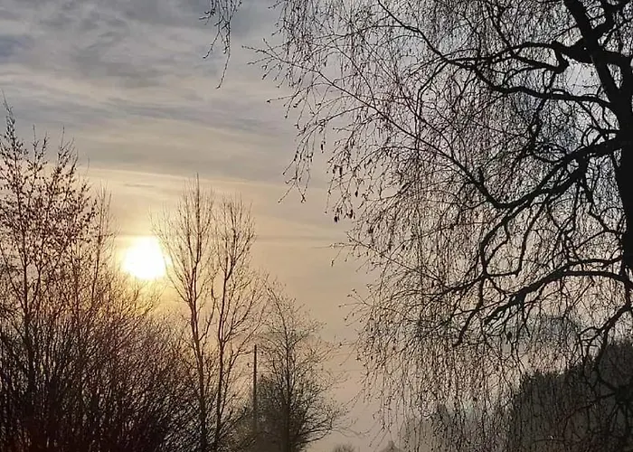 Im Hambach * 巴特贝勒堡